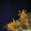 The Sun Among The Stars