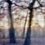 Awaiting Eternity