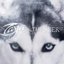 The Seer EP