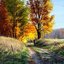 Leaf Fall