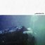 Like Waves
