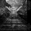 double bind (single version)