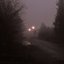 Foggy Suburbs