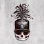 The Black Parade (20th Anniversary Deluxe Edition)
