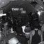 violeta ao vivo no cardeal pub