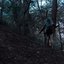 Reckoning