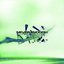 Never Enough (feat. Of Virtue)