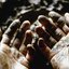 What To Make Of These Mortal Hands