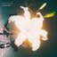 FLASHBULB