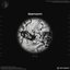 Genom - Single