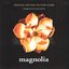 Magnolia OST