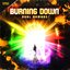 Burning Down - Single