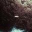 Dogma Dance - Single