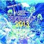 閃光ライオット2013