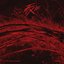 FIX OFF Desire Project 1 [Explicit]