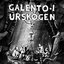I urskogen