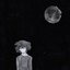 STARING AT THE MOON