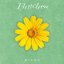 Flawless - Single