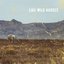 Like Wild Horses