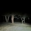 R4GE - Single