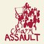 Charm Assault - Single