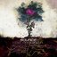 The Insipidness - Single