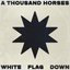White Flag Down