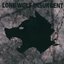 Lone Wolf Insurgent