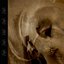 Skullreader