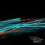 Lights and Wires [Disc 2]