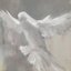 the dove indeed weeps