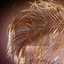 Golden Feathers
