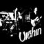 Urchin