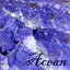Acean