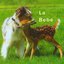 La Bebé