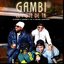 Gambi le pote de TK