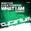 What I Am (Remixed)