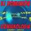 Dźwiękologia (2007-2011)