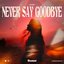 Never Say Goodbye