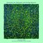 Fantasias for Theremin and String Quartet