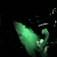 Whole Lotta Green