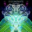 Illuminate: Remixed
