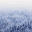 Snowflakes