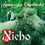 niebo