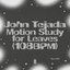 Motion Study for Leaves
