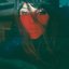 Hold Up - Single