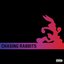 Chasing Rabbits