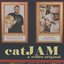 catJAM (a paymoneywubby song)