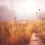 Still Meadow