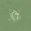 Vibration Consensus Reality (for Spectral Multiband Resonator) / Scatterbrains
